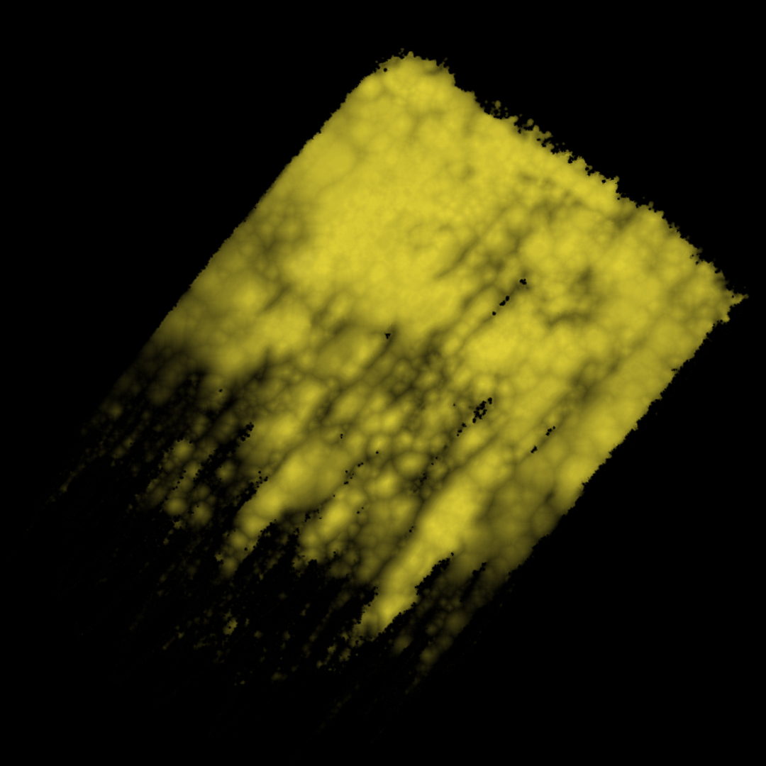 Firman Synesthesia Drawing