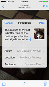 Firman Notifications